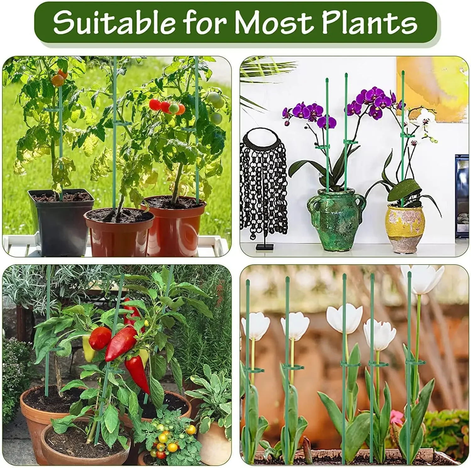 20/5 قطعة يدعم النبات قضيب مكافحة Lodging بين قوسين قابل للتعديل أصائص زرع تعريشة لحديقة حصص زهرة الخضار الكرمة السحلية