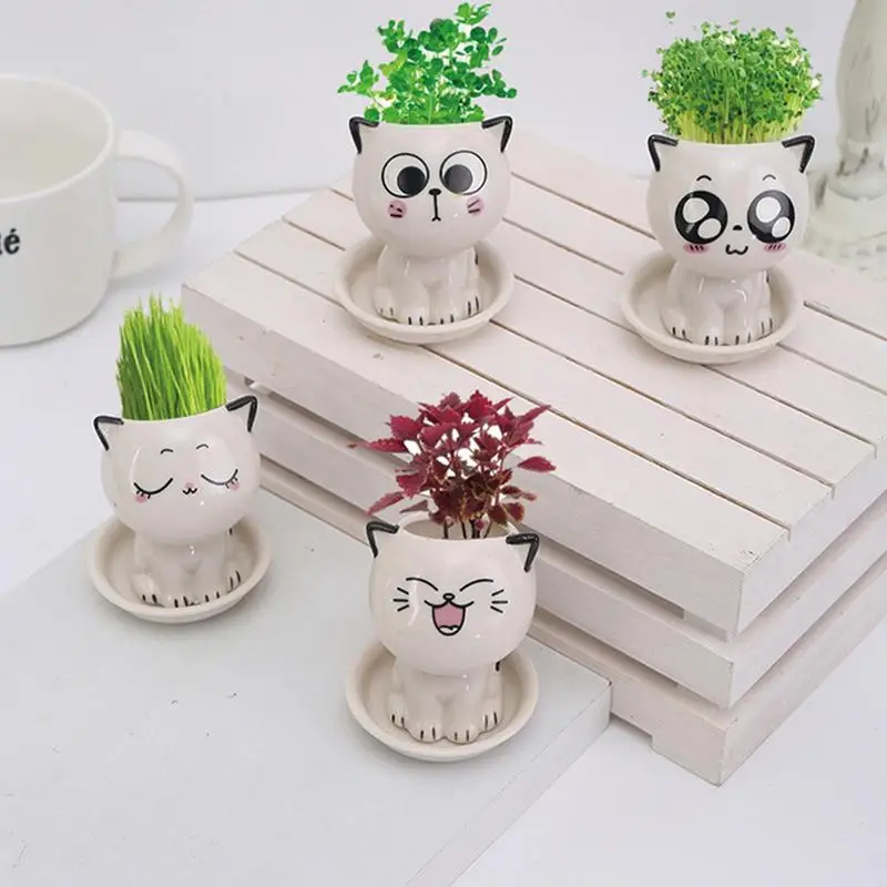 Katze geformte saftige Topf Keramik Blumentopf niedlichen Mini Cartoon Katze Tischplatte Pflanzer Sukkulenten Kaktus Töpfe Haupt dekorationen