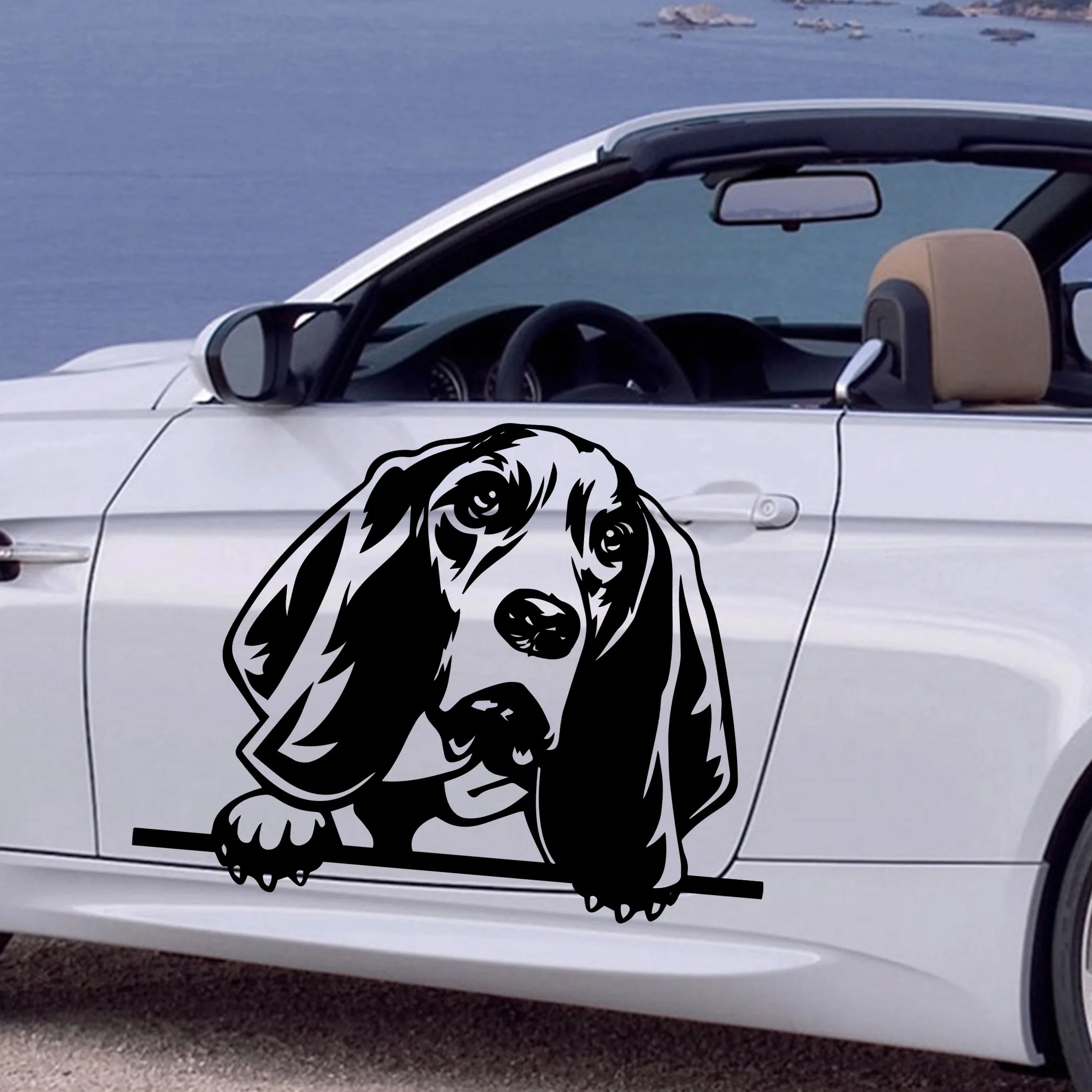 Cute pet probes, Samoyeds, Labradors, Car Stickers poodles Car-styling dog Personalized Motorcycle Decals 