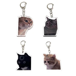 Acrylic kawaii cat expression pack keychain talking meme cat work roast about cats considering cats