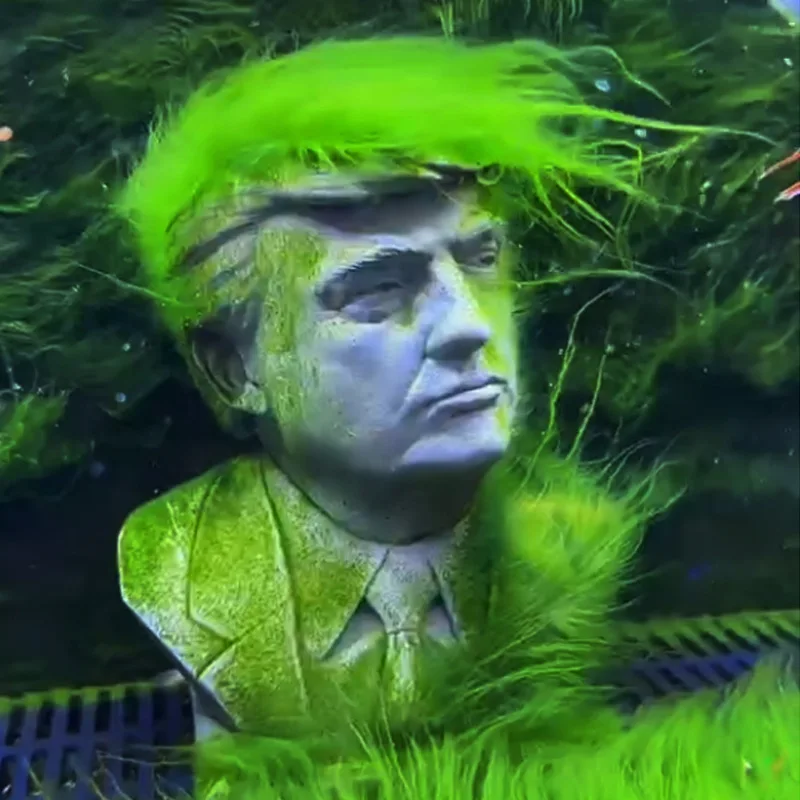 

Trump fish tank landscaping decorative statue aquarium grass tank micro cement creative ornaments can be placed in water