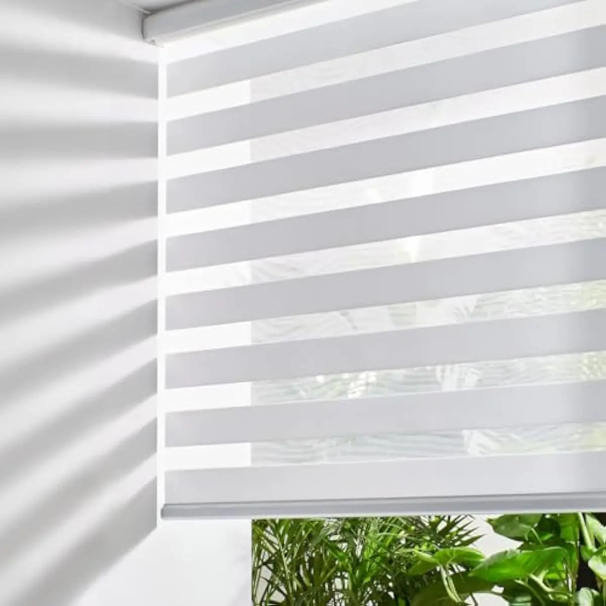 Cordless Dual-Layer Roller Shade for Windows | 51 Inch Wide X 72 Inch Tall | White Blackout Polyester Fabric | Indoor Outdoor Use