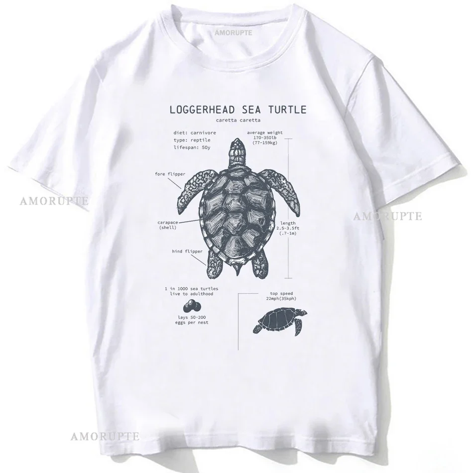 Sea Turtle Anatomy Hammerhead Shark Vintage T-Shirt Unisex Men Short Sleeve Hip Hop Beach Animal Style Boy Casual Tops White Tee