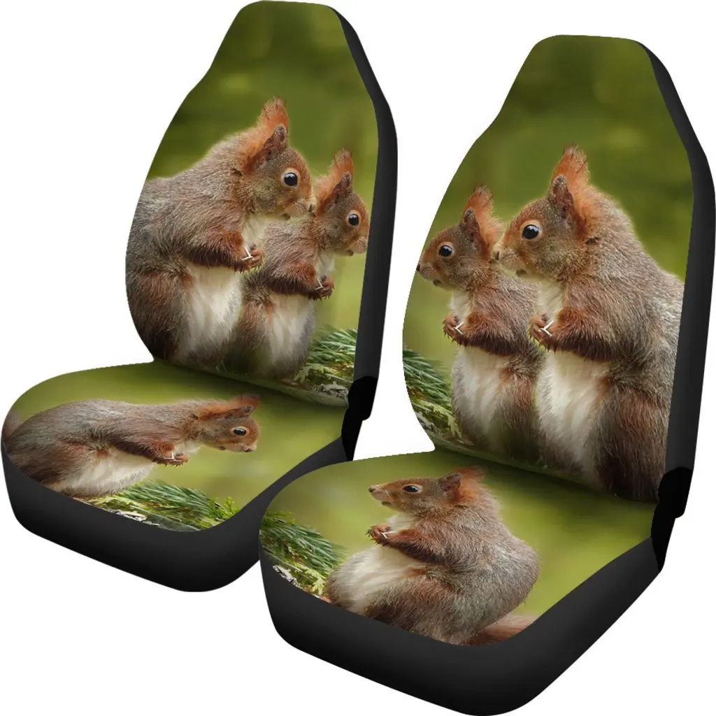 Cute Red Sqirrel Print Car Seat Covers Set 2 Pc, Car Accessories Seat Cover