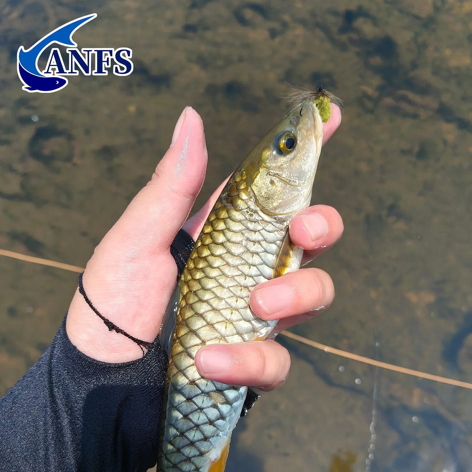 مجموعة من 10 ذباب صناعي ملونة  - مراجعة Fishing Hook Assortment وسعره