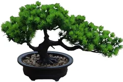 Artificial Bonsai Plant Potted House Japanese Pine Plant 19 cm in Height 34 cm in Width for Home Decoration Desktop Display