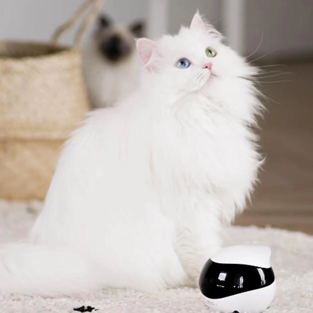 EBO SE smart family companion robot remote monitoring camera work trip companion pet cat remote control