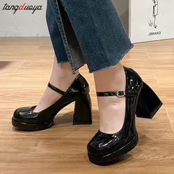 Mary Jane Shoes Women 2024 New summer Thick Heels High Heels Round Toe Buckle Strap Pumps Elegant Luxury Women's party Shoes