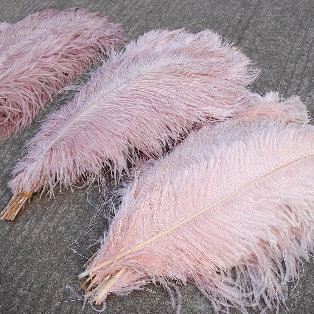 10Pcs Colored Fluffy Ostrich Feathers for Natural Plumes Crafts Accessories Wedding Party Table Centerpieces Carnival Decoration