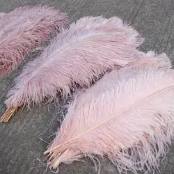 10Pcs Colored Fluffy Ostrich Feathers for Natural Plumes Crafts Accessories Wedding Party Table Centerpieces Carnival Decoration