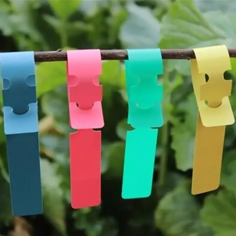 Plant Markers for Nursery Flowers, Hanging Tags, Label Tools, Garden Supply, 20x2cm, 3 Pcs, 10 20Pcs