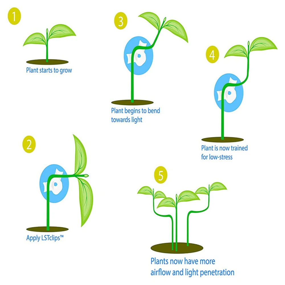 Tool Plant Branch Bender 20pcs 4*1cm/1.57* 0.4 Inch Clips Control The Growth Low Stress High-quality PP Brand New
