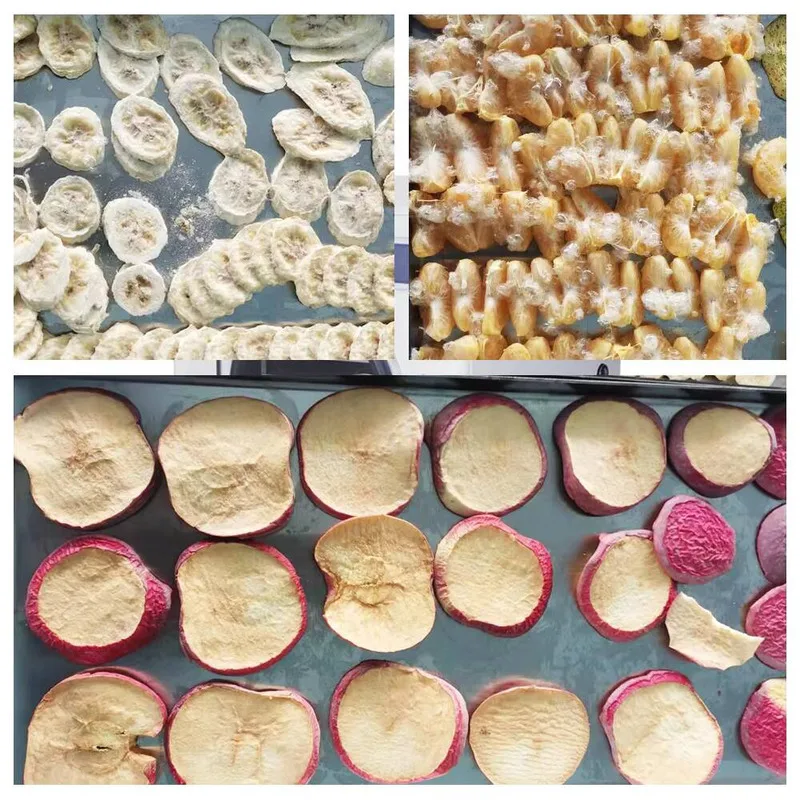 تجميد المجففة محلية الصنع الغذاء مضخة تفريغ مجفف التجميد