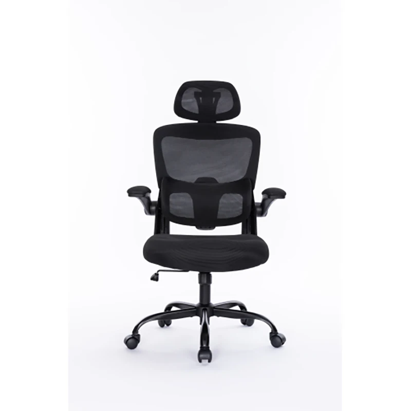 Ergonomic Mesh Office Chair with 3D Adjustable Lumbar Support High Back Desk Flip-up Arms Executive Computer Chair Home Office