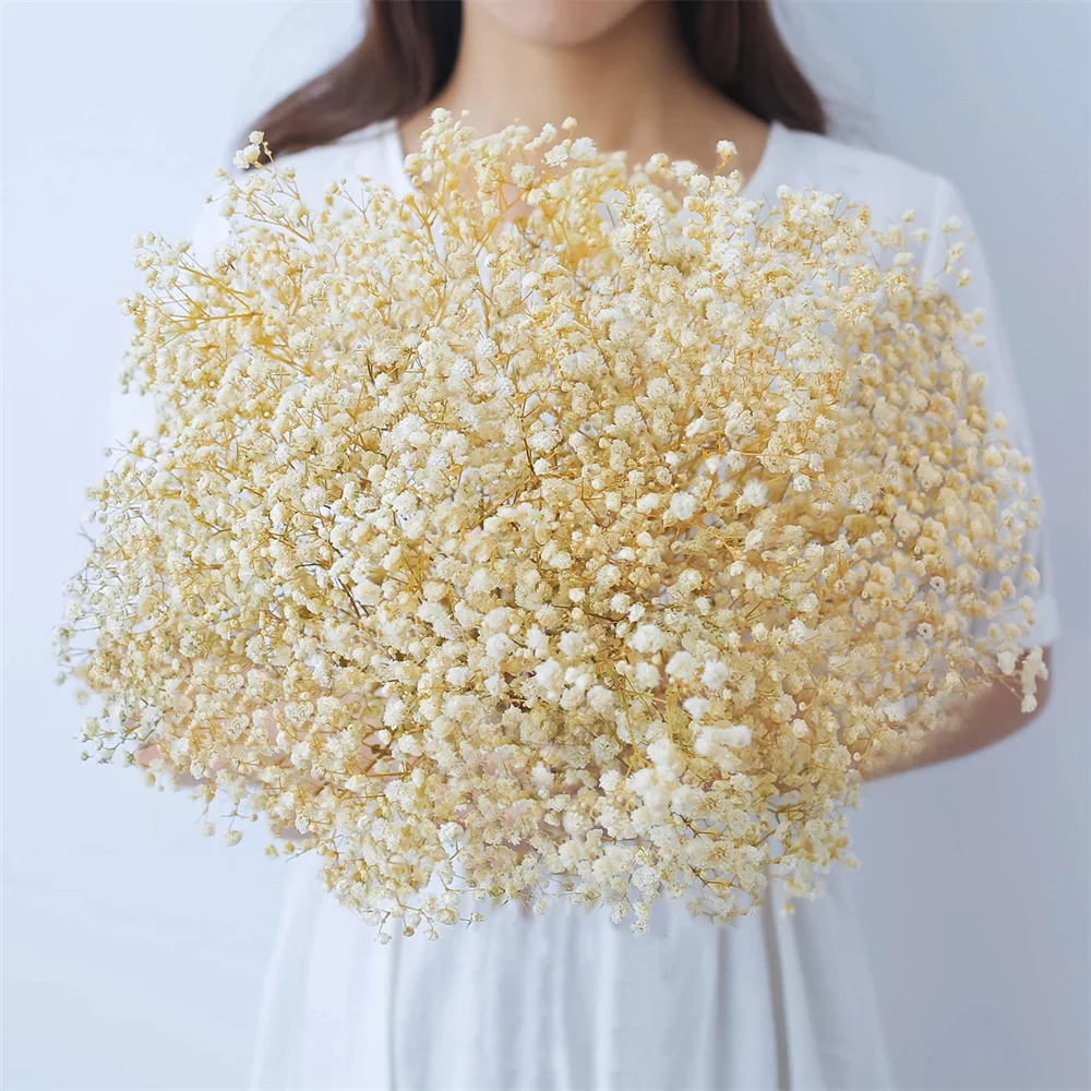 Gypsophila Sechee Wedding Dried Flowers Natural Babys Breath Bouquet for Room Decoration DIY Boho Wedding,Home,Table,Party Decor