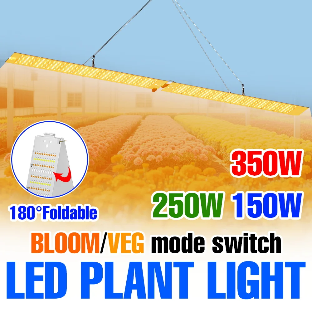 250W Full Spectrum Plant Grow Lights LED Quantum Board Hydroponics Fill Lamp Greenhouse Tent Vegetables Cactu Flowers Lighting