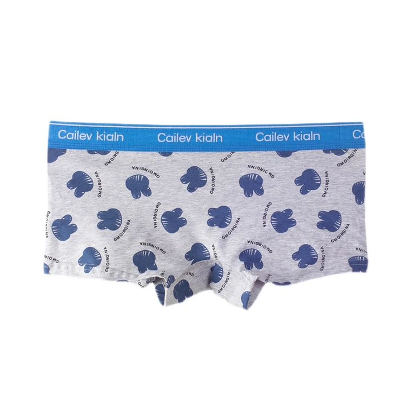 HaleyChan Women's 1Pc Cotton Cartoon Panties Briefs Trans Lesbian Tomboy Transgender Lingerie Underwear Women Boxers for Women