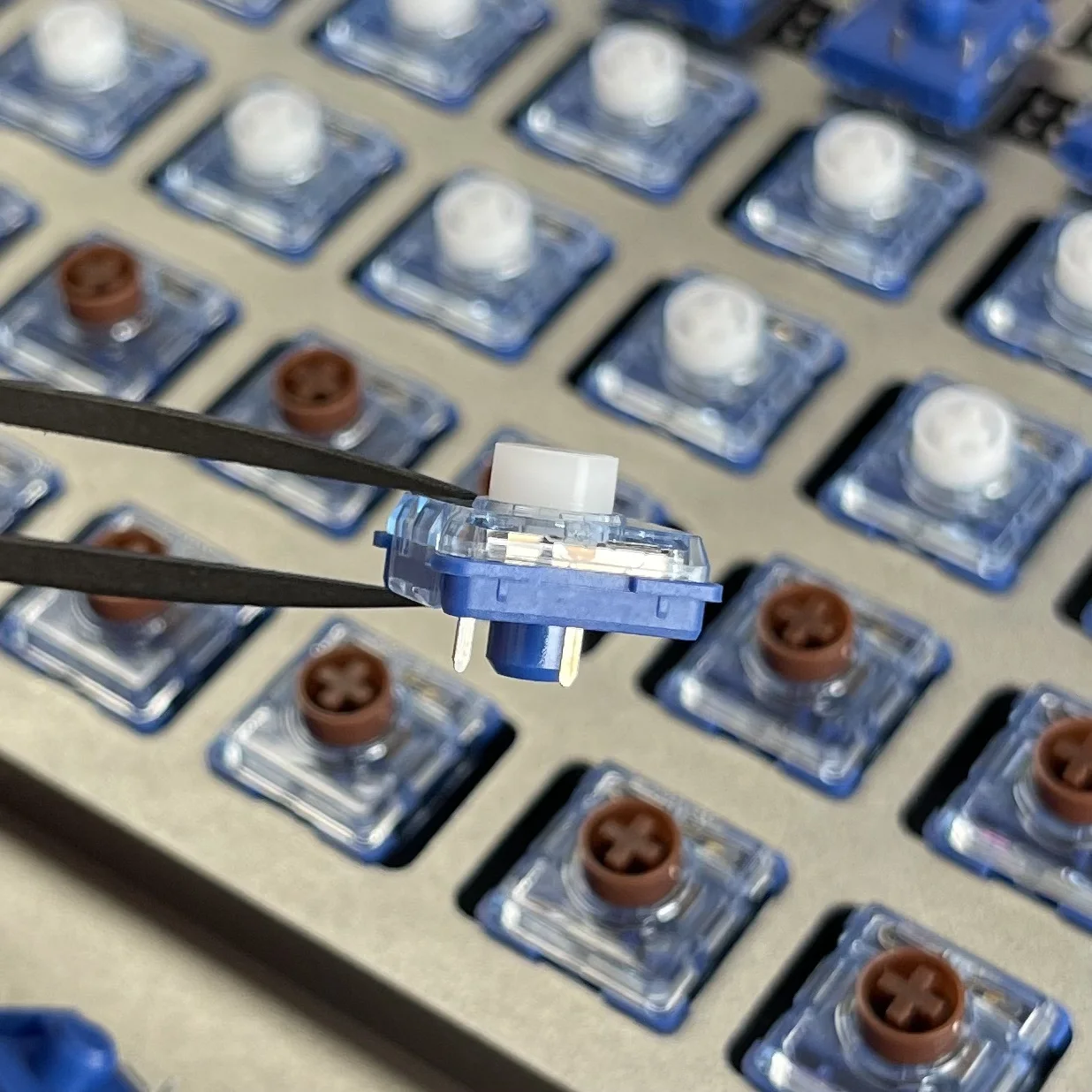 Kailh Sakelar Keyboard Profil Rendah Senyap Laut Dalam untuk Sakelar Keyboard Mekanis MINI 1353Hitbox Pendaratan Paus Pulau Laut Dalam