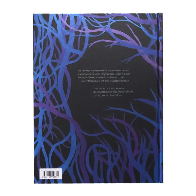 Hansel And Gretel David Sala Casterman 9782203248731 Book