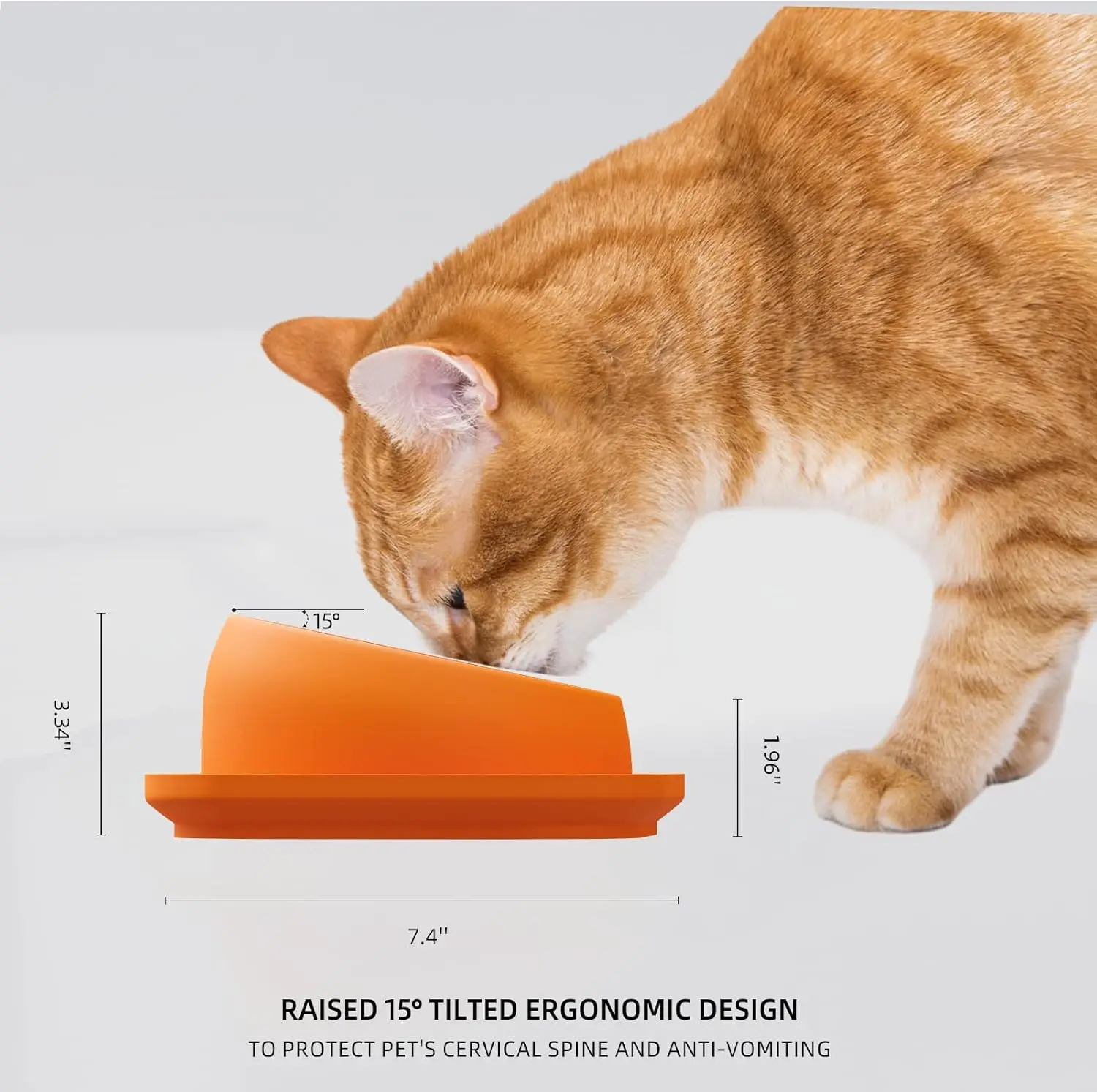 

Pet bowl, cat bowl, slanted bowl, dog food bowl, anti-tip, protects pet's cervical spine, stainless steel pet feeder.