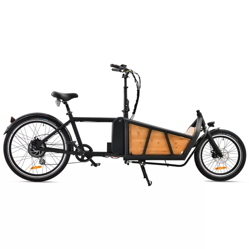 Front Loading Rear Drive Motor Electric Two-Wheel Freight Bike Drop Transport Electric Freight Bike Children's School