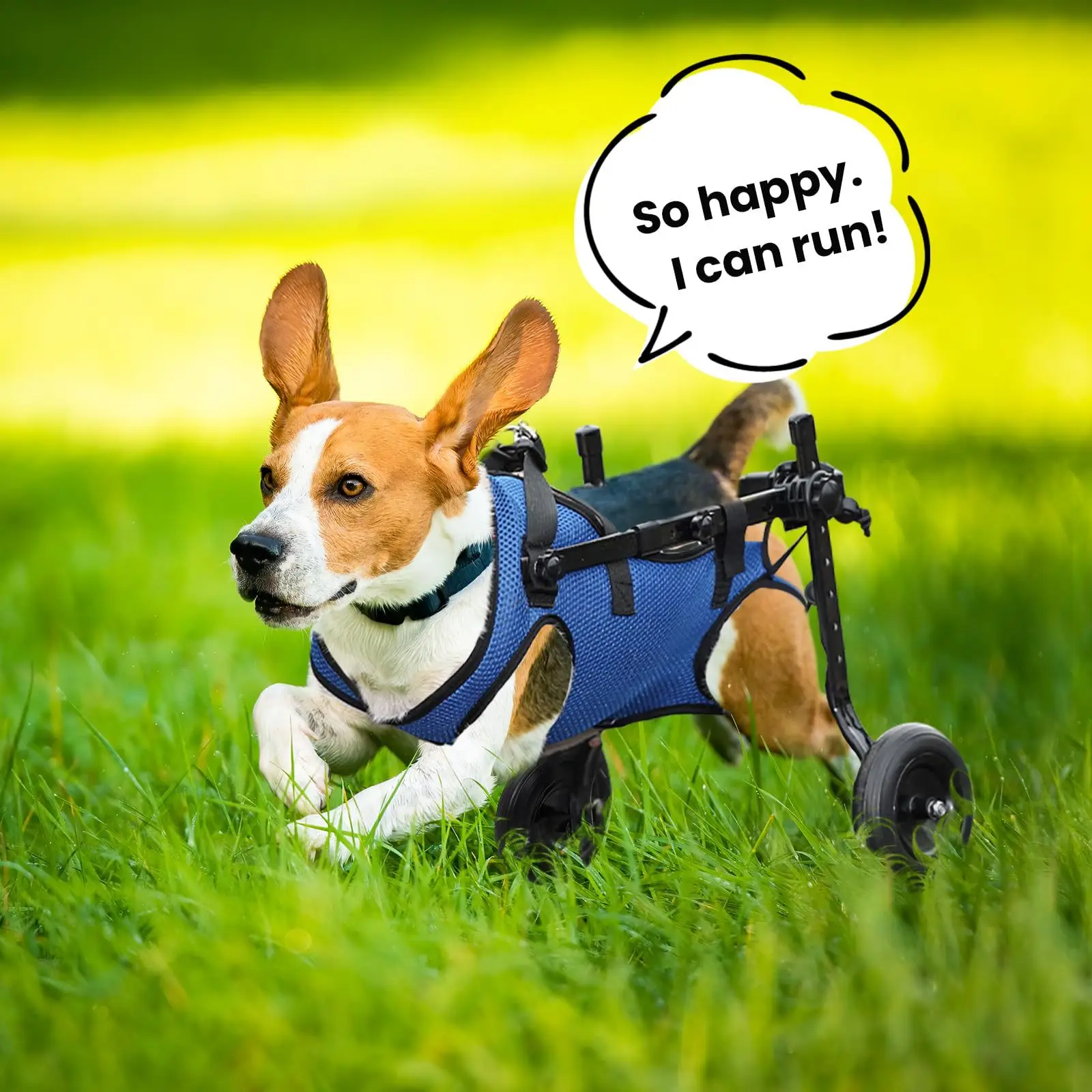 Pet Wheelchair Dog Adjustable Hind Limb Paralysis Disabled Elderly Mobility Scooter Dog Rehabilitation Walking Assist Trolley - Image 2