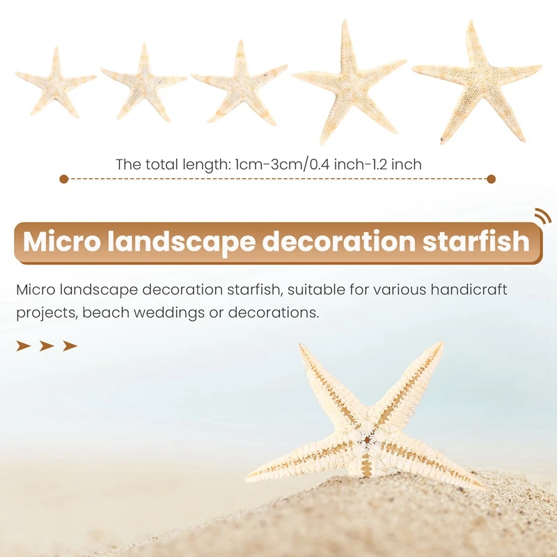 Small Starfish Star Sea Shell Beach Craft 0.4 Inch-1.2 Inch 90 Pcs