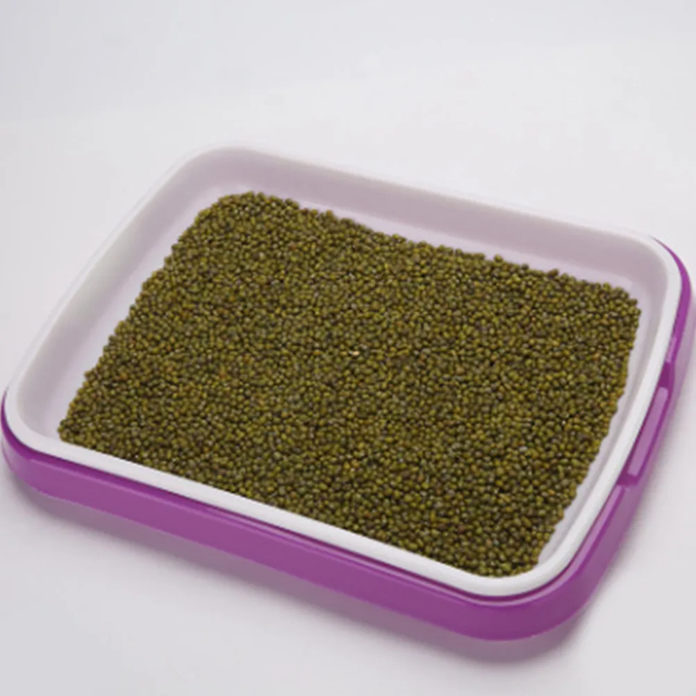 Food Grade PP Sprouter Tray Soil-Free Sprouting Tray for Wheatgrass Broccoli Radish Seeds Plus Fruit Vegetable Storage 35x26x5cm