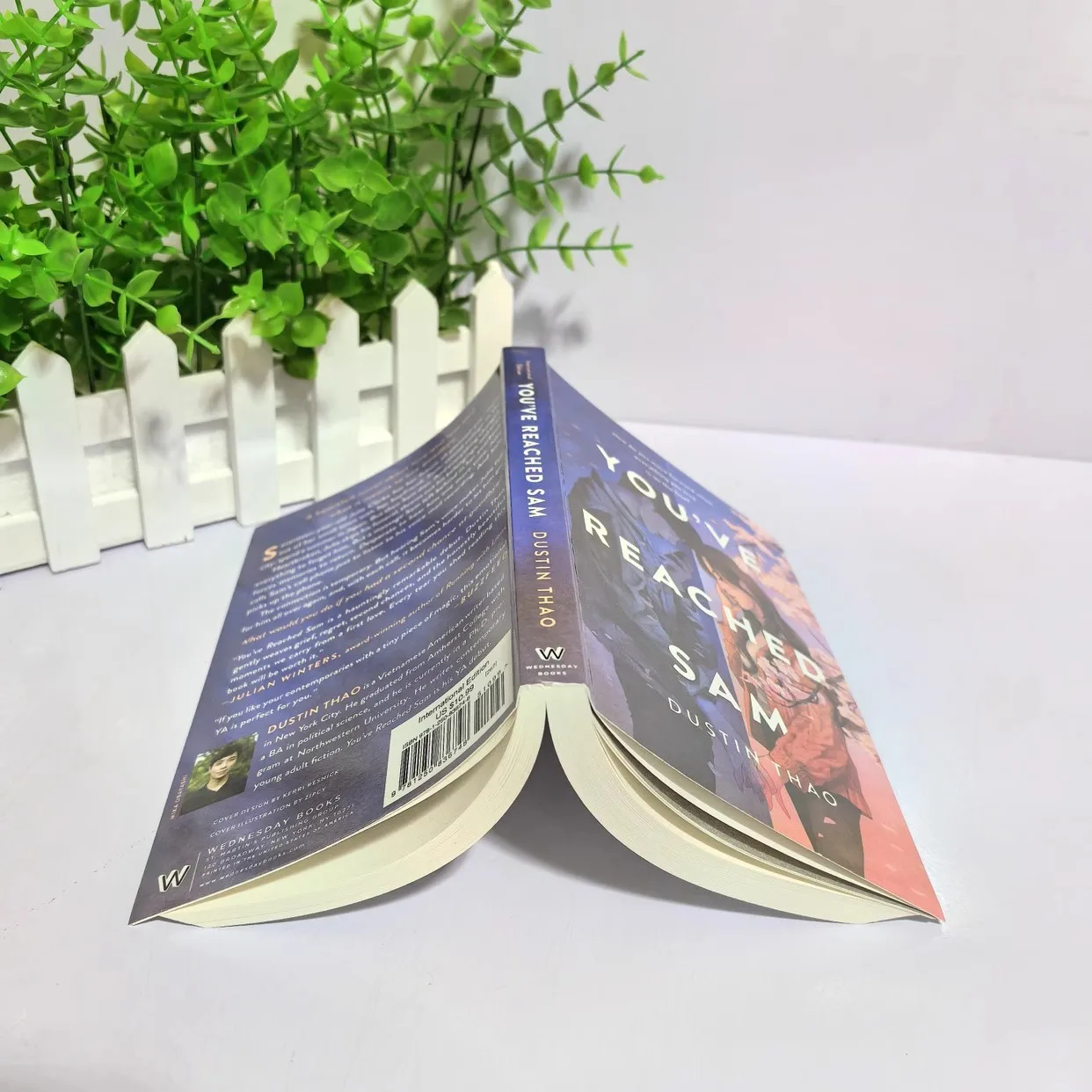 You've Reached Sam By Dustin Thao Romantic Novels Of Youth English Book