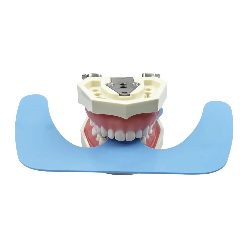 1 ชิ้นทันตกรรมจัดฟัน 3D Occlusal Maxillary หล่อ Jaw แผ่นเครื่องบินปากยามช่องปากทันตแพทย์เครื่องมือ Complete ฟันปลอม