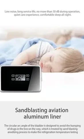 12v 1.5L mini usb refrigerator battery cooler box with portable for insulin