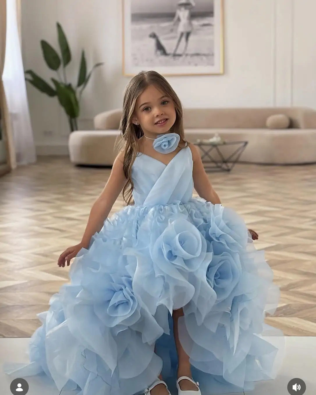 Sky Blue Flower Girl Dresses For Wedding Princess 3D Rose Tulle Skirt Litter Girl's Baby Birthday Party Prom Photo Shoot Gowns image 5