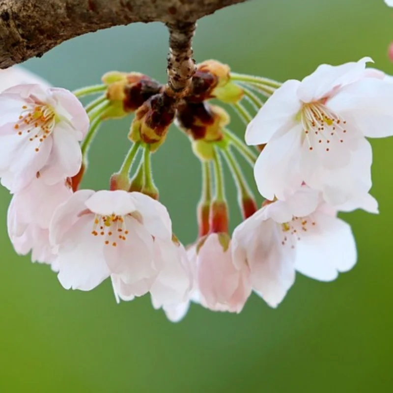 

1/10 RC Cars Complete Aluminum alloy Front Rear Axle for RC Crawler Axial WRAITH Rock Racer 90018 90045 RR10 90048 90053