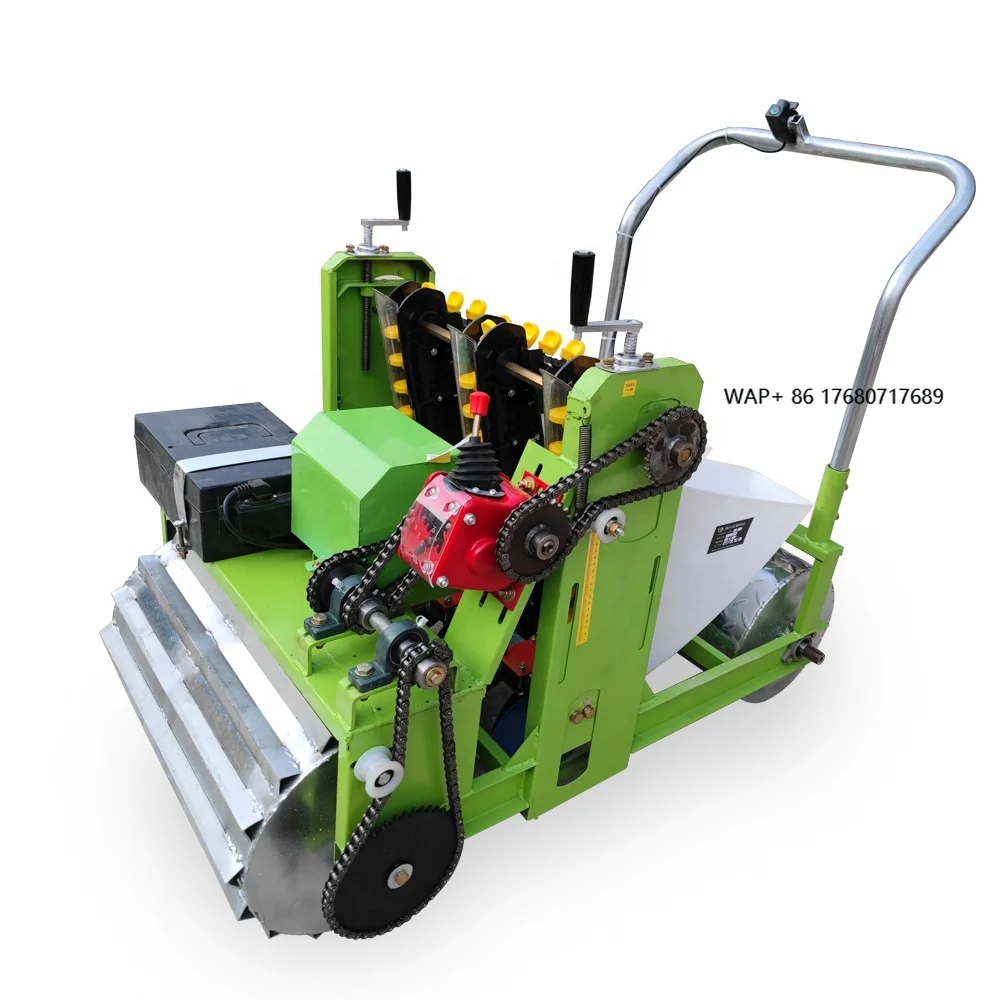 2025 Factory price garlic planter seeder with1 years warranty