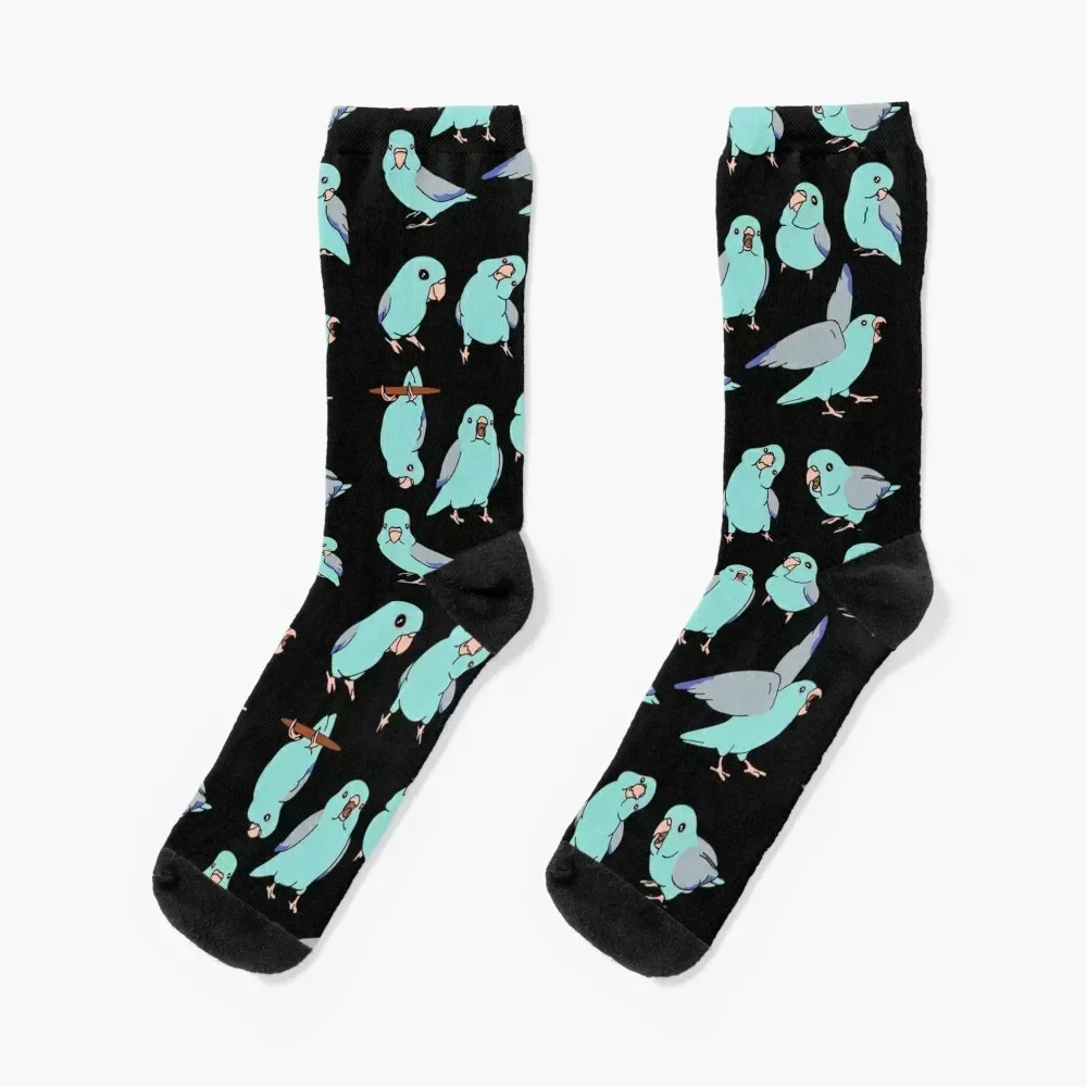 blue fallow parrotlet doodle pattern Socks luxe cycling Christmas Argentina Socks Women's Men's