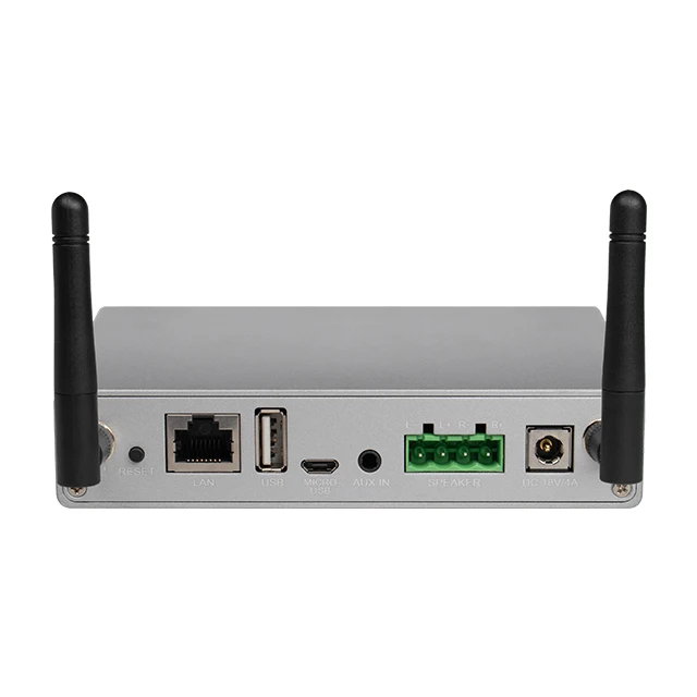 شبكة واي فاي بث مكبر للصوت Airplay الموسيقى الصوت غاسل #3