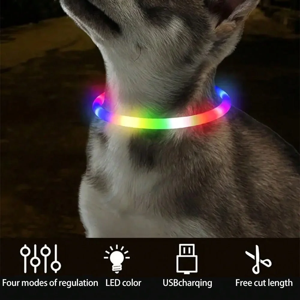 Thumbnail 3 - #34 Best LED Puppy Collars to Buy In 2026