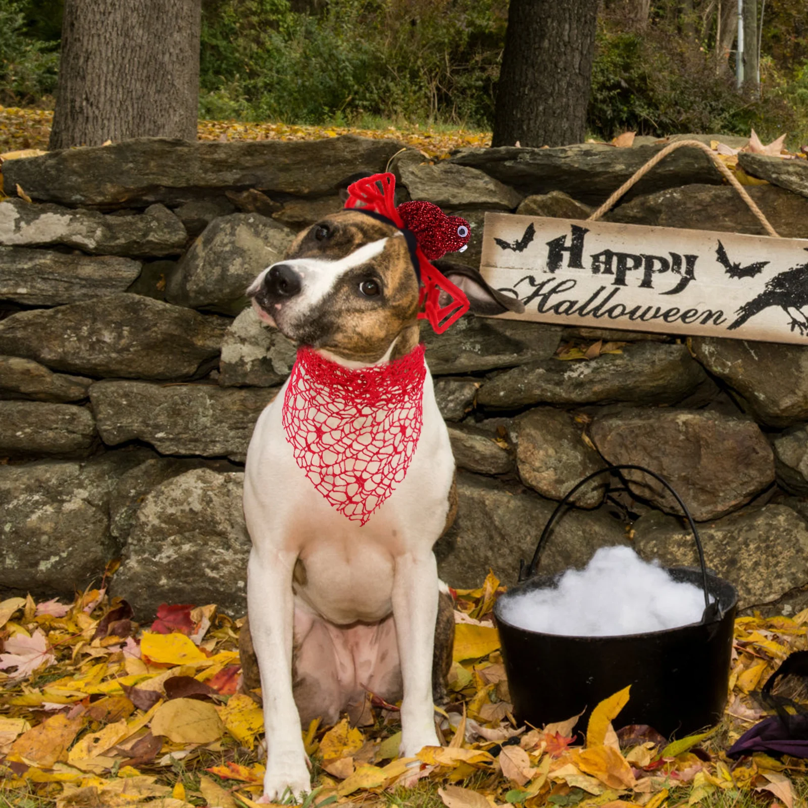 

2Pcs Halloween Pet Bandana Spider Headband Set Cute Dog Costume Accessories Festive Halloween Dog Decoration Spider Headdress