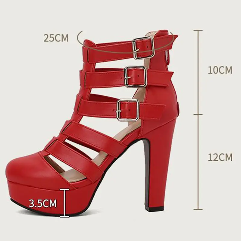 REAVE CAT Luxury Female Sandals Round Toe Chunky Heels 12cm Platform 3.5cm Zipper Belt Buckles Plus Size 48 49 50 Dating Shoes view 2