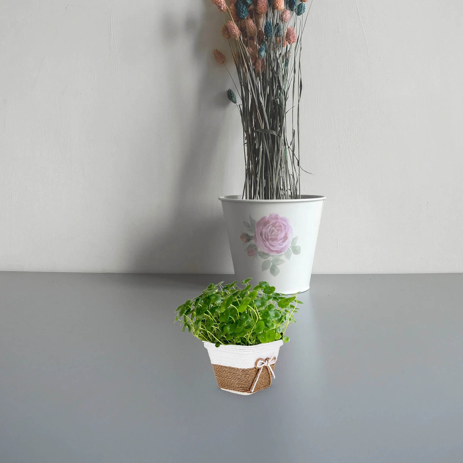 

4pcs Mini Flower Pot Creative Bow Colorful Woven Plant Baskets for Indoor Plants Decorative Round Planter Strong Graceful