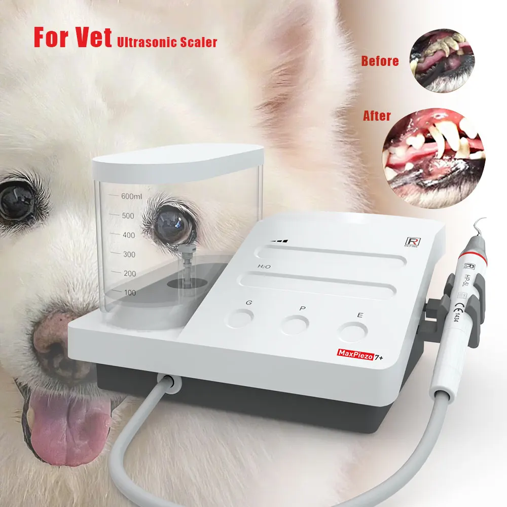 

For Vet Pet s Dental Ultrasonic Scaler Endo Scaling Teeth with LED Water Bottle Periodontics Detachable Handpiece Maxpiezo 7+