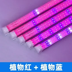 Long Strip LED Plant Growth Light, espectro completo, adequado para estufa interior, plantio, 18W