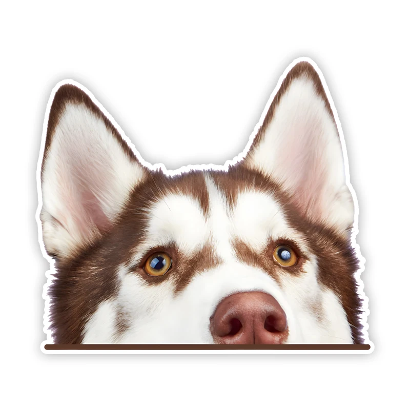 DK331# Cool Husky Car Stickers Scratch Covering Self-Adhesive Waterproof Decal Motorcycle Decorative Accessories