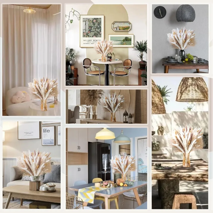 عشب بامباس الطبيعي 8 نوع العشب مزيج باقة باقة بامباس المجففة لحفل الزفاف بوهو الزهور ديكور للطاولات ديكور مكتب ريفي F #2