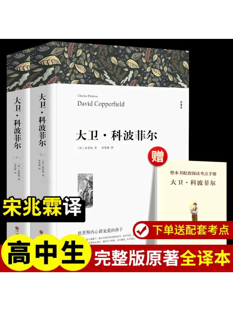 

Book-Winshare David Coasterfield Полный перевод в мягкой обложке Версия 2, всего