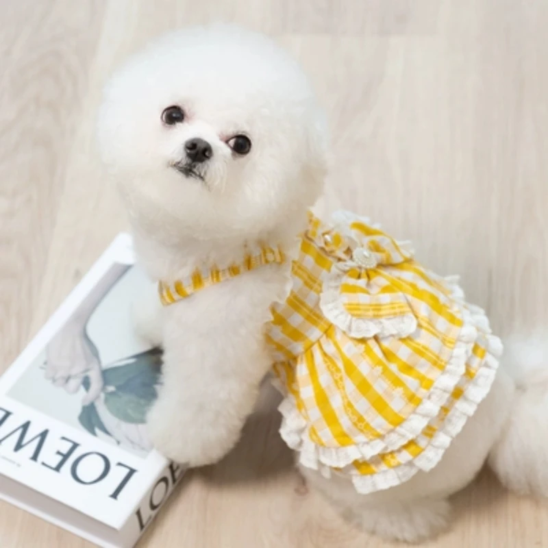 Little Dog Princess Skirt Bixiong Pomeranian Teddy Malzis Yorkshire Small Puppy Clothing Summer