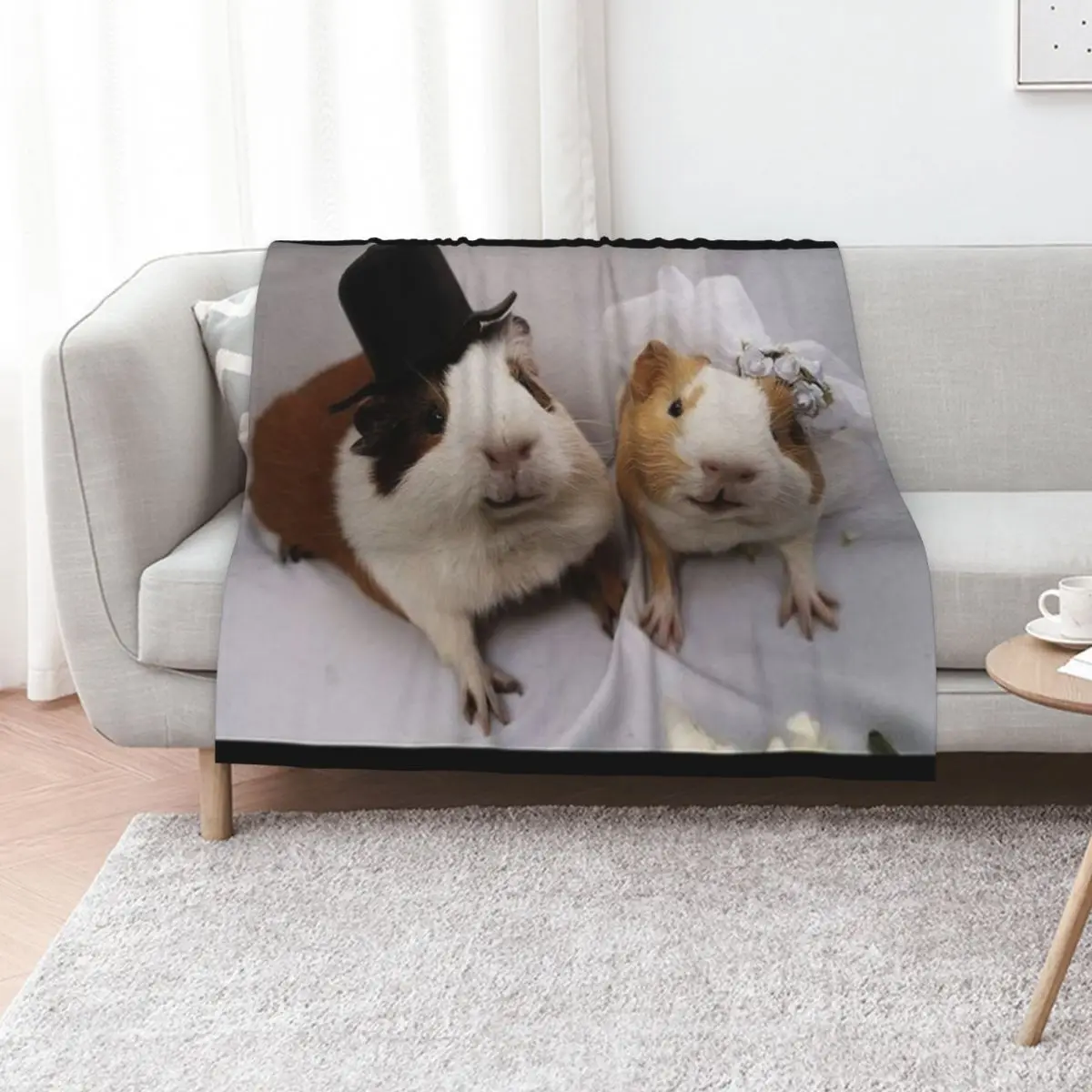 

Guinea Pig a Cavy Collection a Model 21 Throw Blanket Weighted Blankets For Baby Giant Sofa Plaid on the sofa Blankets