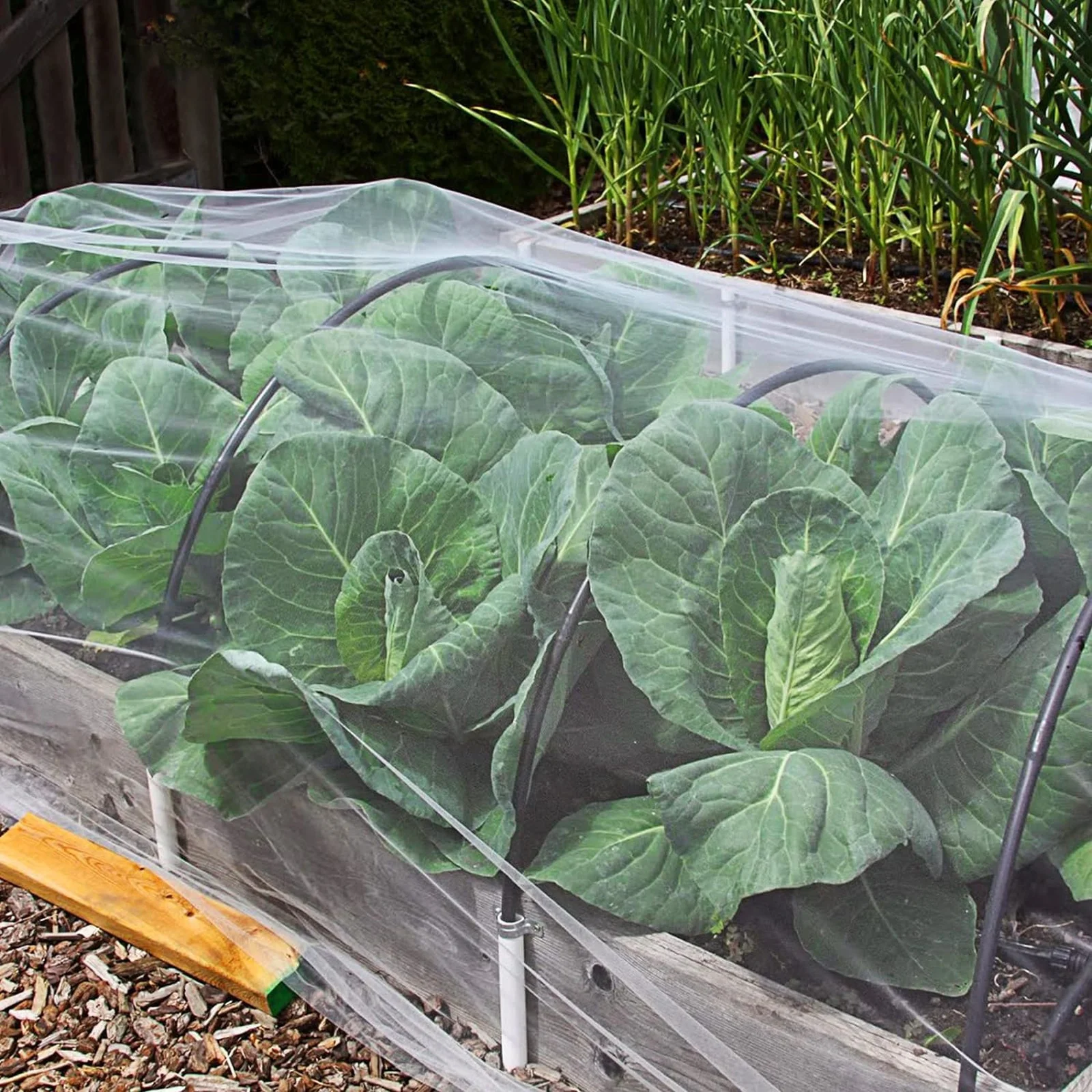 Greenhouse Insect-Proof Net Garden Netting Orchard Breeding Net Garden Plant Cover Bird-proof Net Mosquito Screen