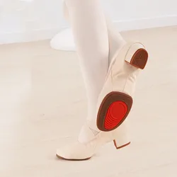 Women Ballet Shoes Girls Kids Ballet Dance Shoes Soft Sole Low Heels Jazz Dancing Shoes Pink/Black Women's Exercise Shoes
