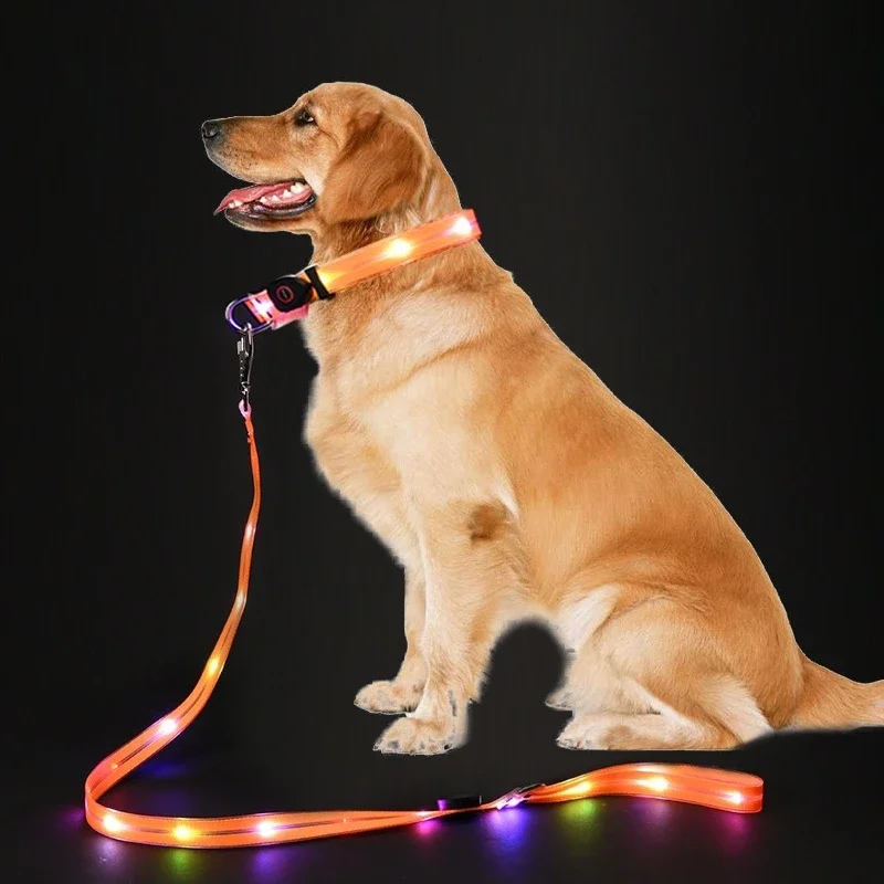 PVC Glowing Led Dog Leash USB Rechargeable With Webbing Glowing Adjustable Dog Flashing Collar Keep Your Pets Safe In Darkness